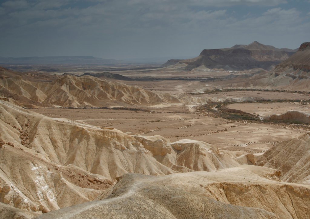 Vast desert landscape with rolling hills, sparse vegetation, and distant mountains under a cloudy sky.