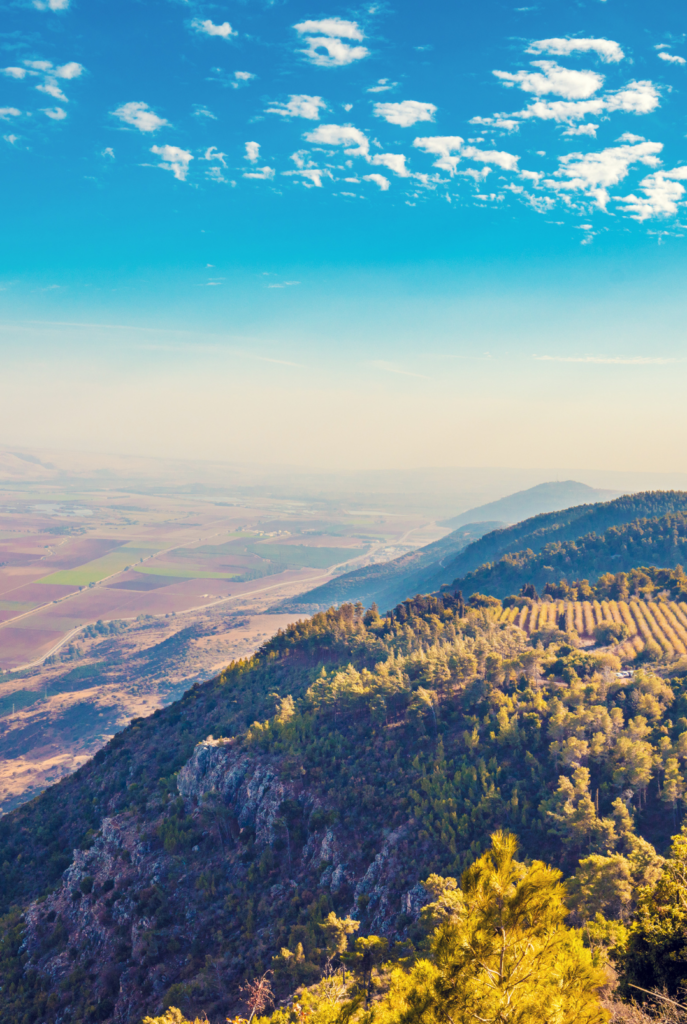 Scenic view of rolling hills and green forests under a blue sky with scattered clouds.
