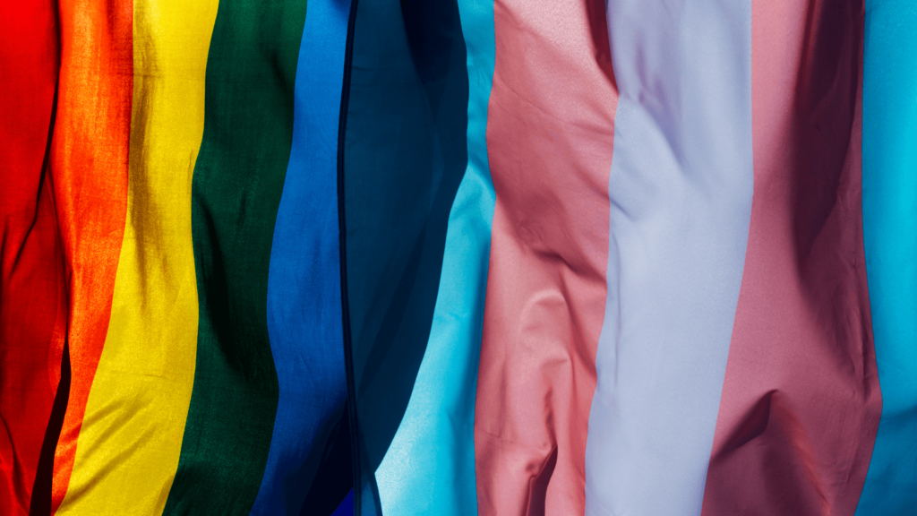 Close-up of the Pride and trans flags