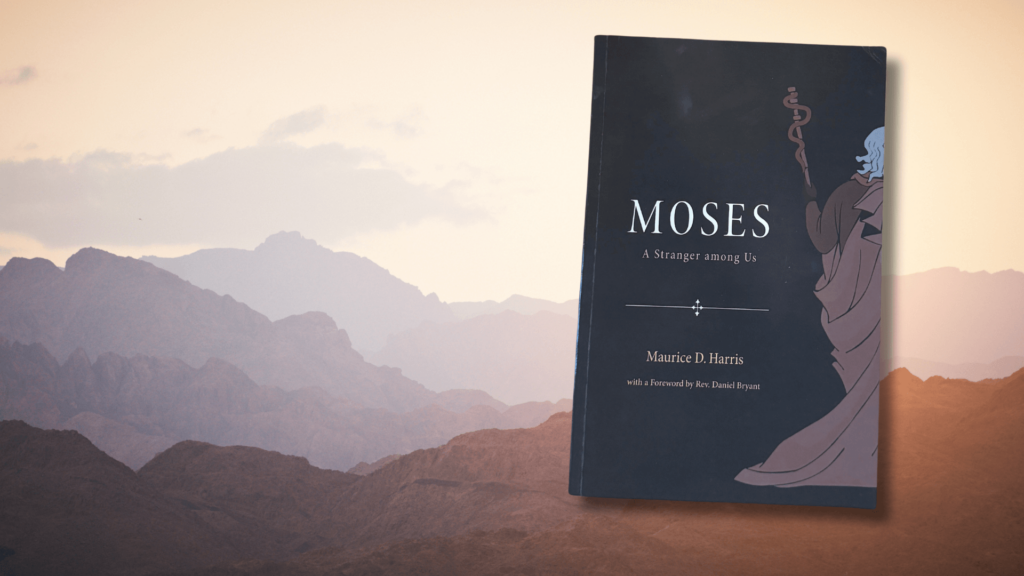 Cover of the book "Moses: A Stranger Among Us" against a desert backdrop