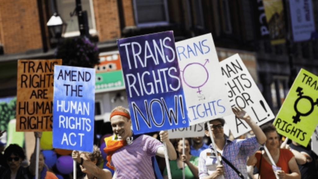 People at an LGBTQ+ rally holding up signs in support of trans rights
