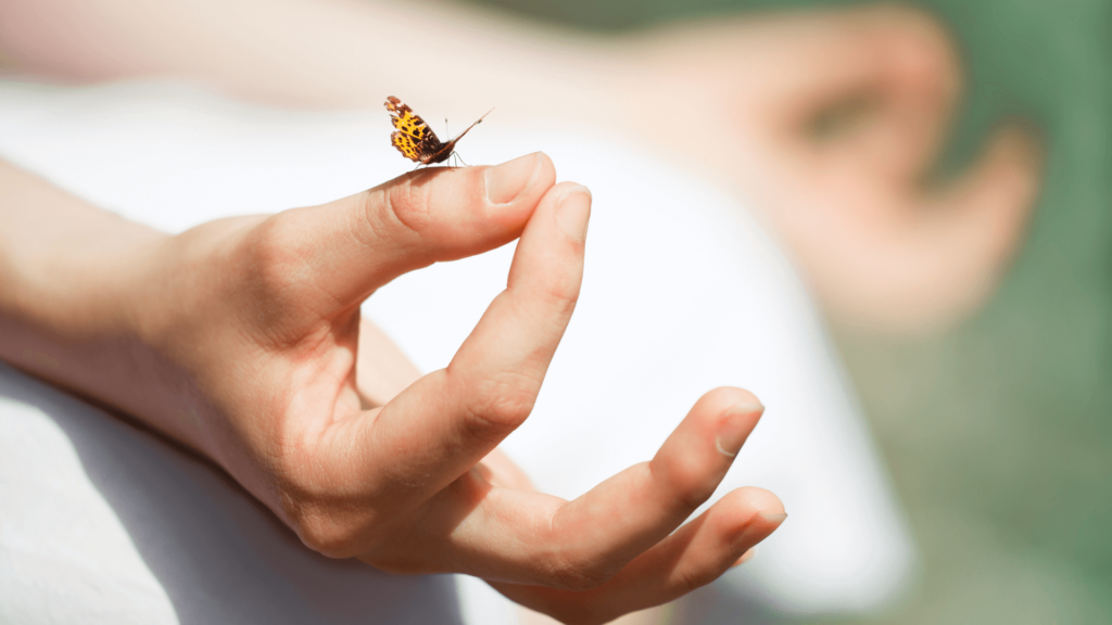 Close-up of the hand of a person meditating with a butterfly perched on their thumb