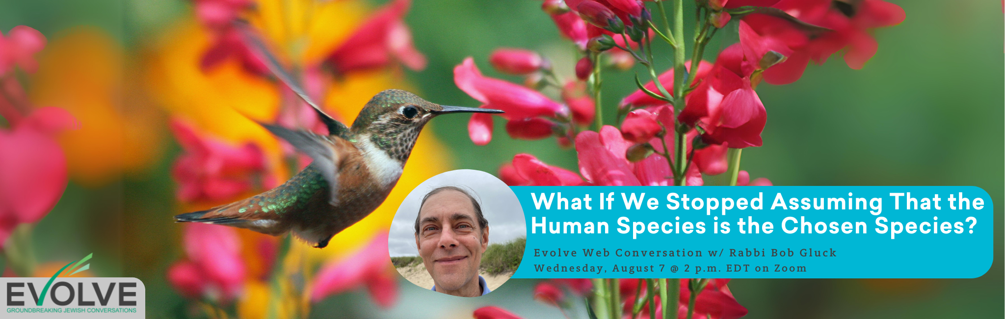 Hummingbird near red flowers with text about a web conversation with Rabbi Bob Gluck on August 7 at 2 p.m. EDT.