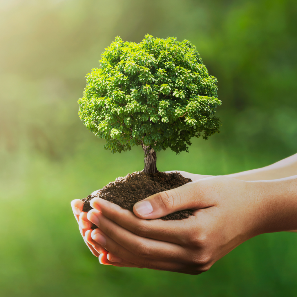 Hands holding a small tree with soil, against a blurred green background.