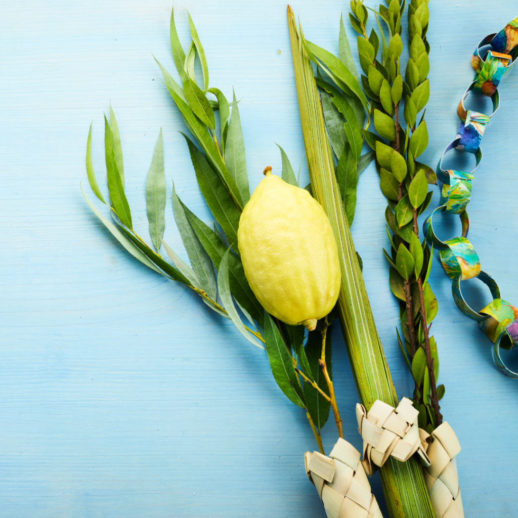 Sukkot symbols: etrog, lulav, hadass, aravah, and colorful ribbon on a light blue wooden background.