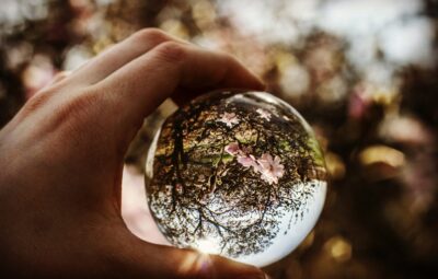 Hand holding a glass sphere reflecting blooming cherry blossom branches and a sunny sky.
