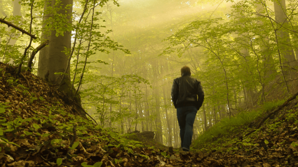 Person walking alone in the woods