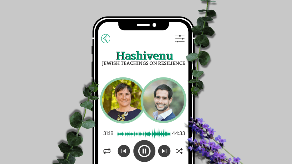 An iPhone screen with a Hashivenu episode playing