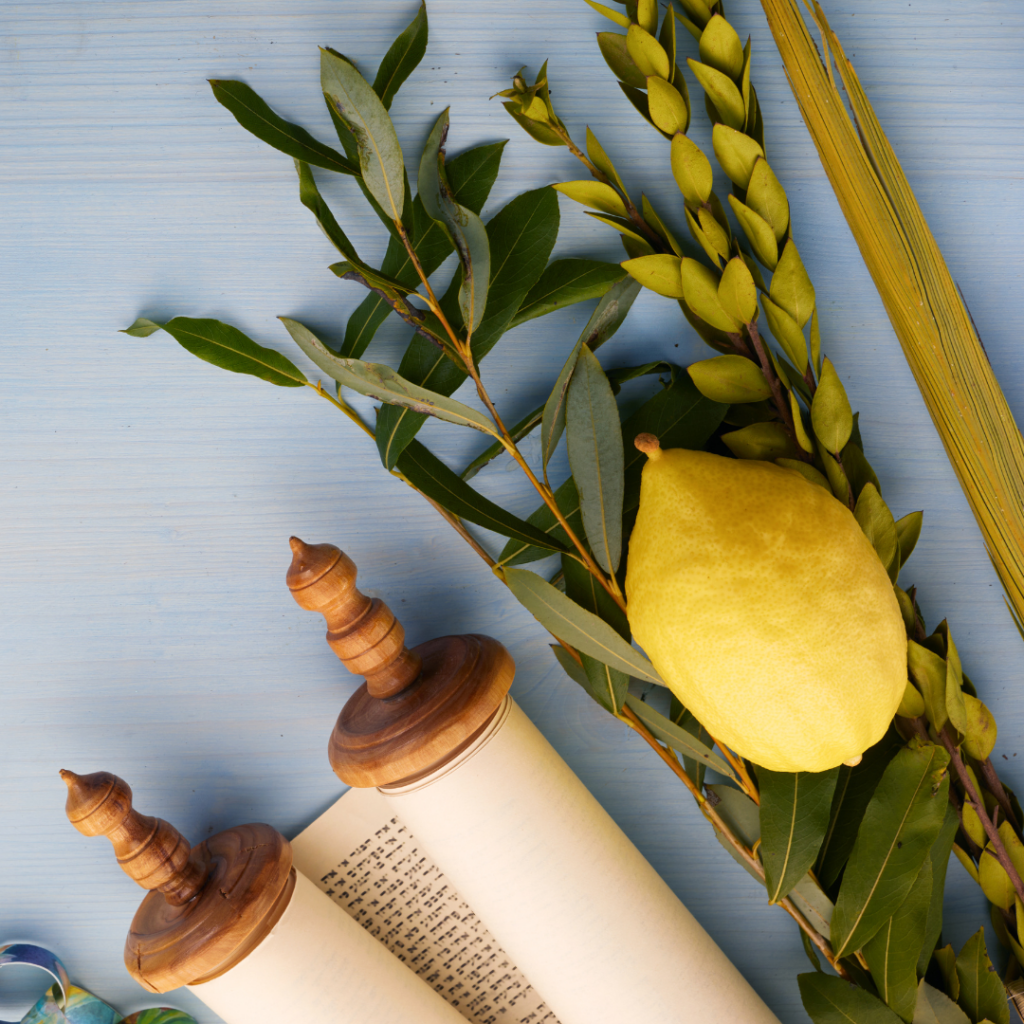 The four species (etrog, myrtle, date palm and willow) with a torah scroll.