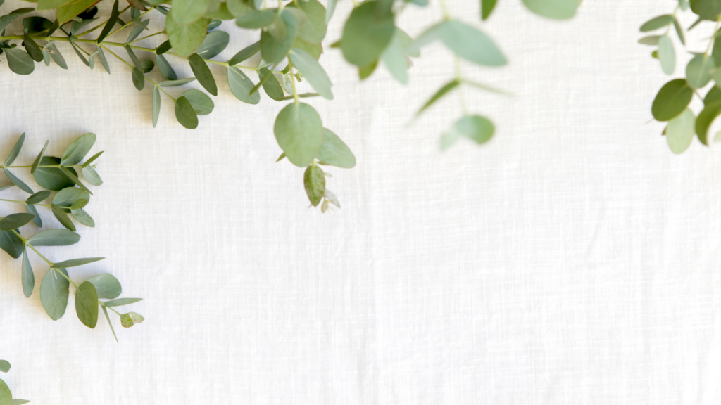 Green eucalyptus leaves on a white fabric background, with empty space on the right side.