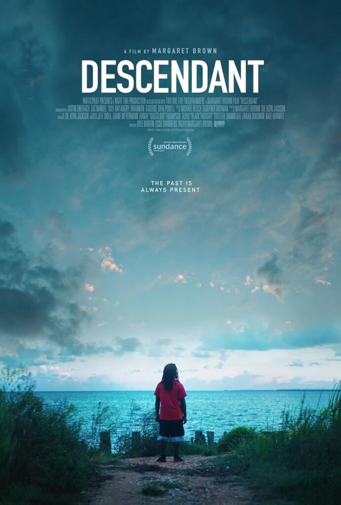A person in a red jacket stands by the water, looking at the horizon under a dramatic, cloudy sky. Text reads Descendant.