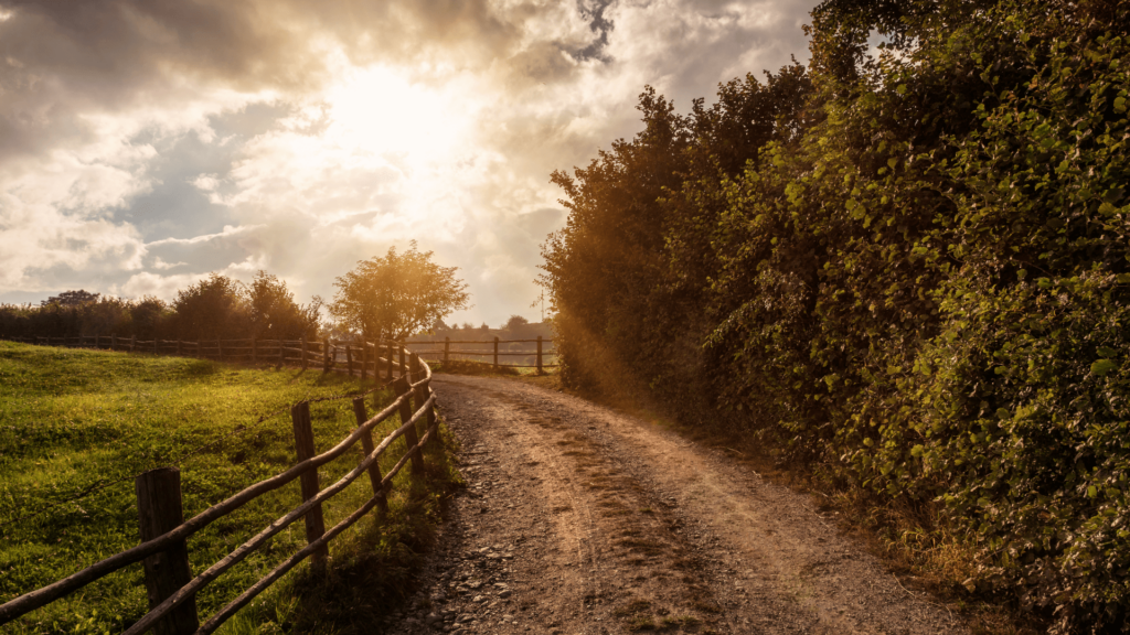An empty dirt road to the right of a field separated by a wooden fence