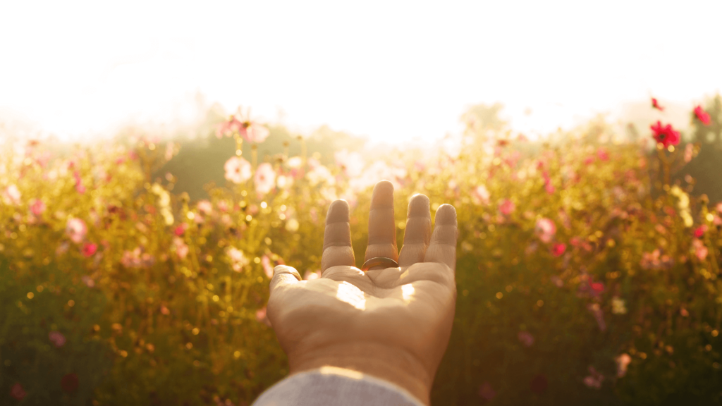 An outstretched hand against a backdrop of a field of flowers