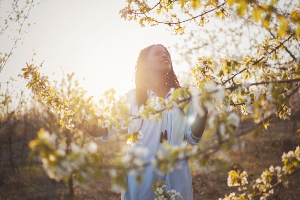 Person in a white dress standing in a sunlit orchard, surrounded by blooming branches and soft sunlight.