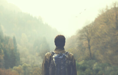 A person with a backpack stands in a misty forest, looking at trees and flying birds in the sky.