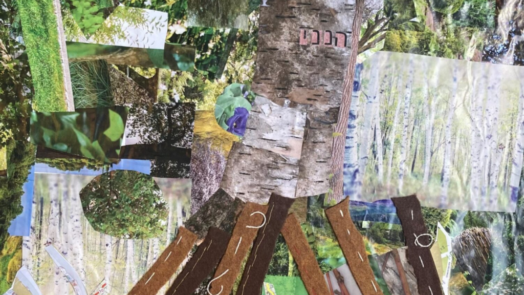 Collage of various tree photos and textures, featuring bark, leaves, and forest scenes in a mixed media style.