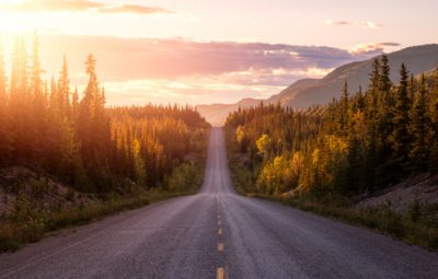 Sunlit forest road stretches toward distant hills, lined with pine trees and under a colorful sky.