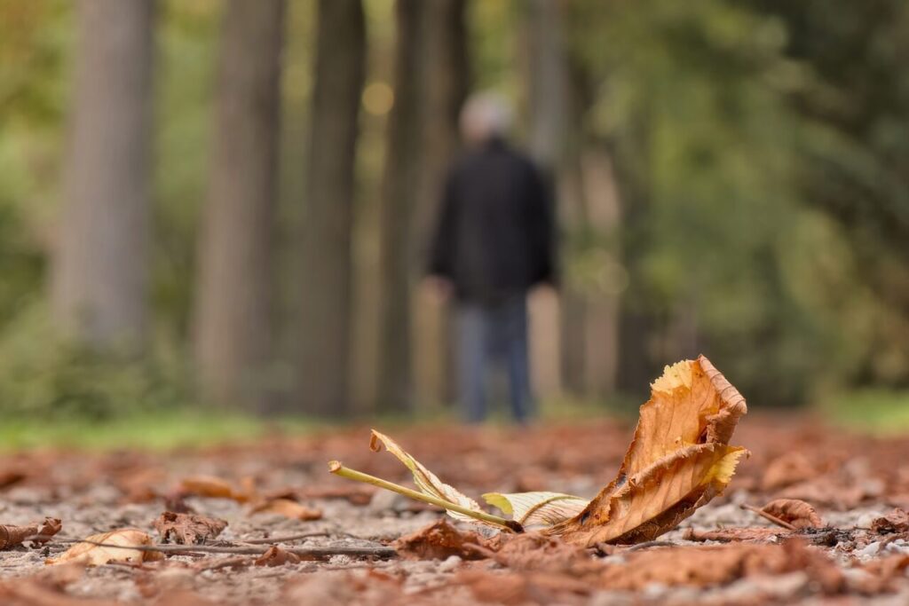 A dry leaf on a forest path with a blurred figure walking in the background.