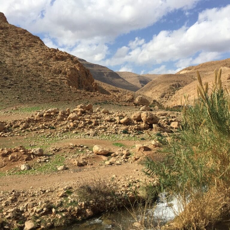Rocky desert landscape with sparse vegetation, hills in the background, and a small stream in the foreground under a cloudy sky.