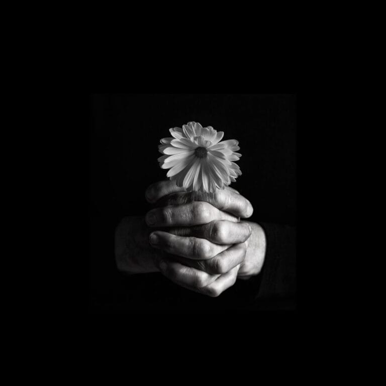 Two hands gently cup a single daisy flower, shown in black and white against a dark background.