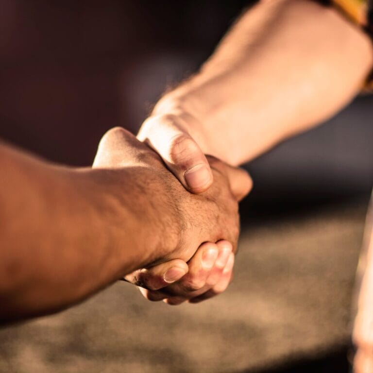 Two people shaking hands outdoors in warm sunlight.