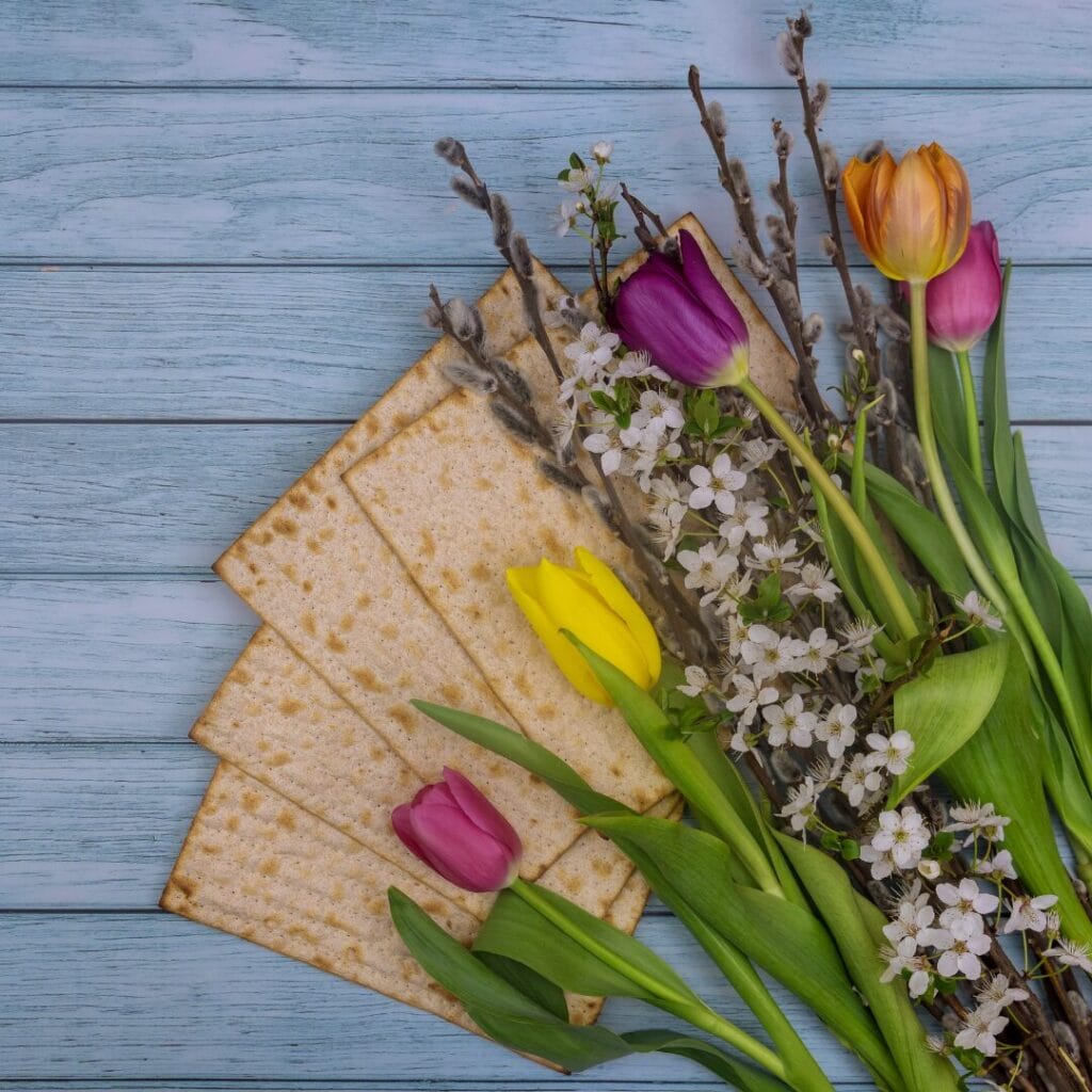 Matzo crackers and vibrant tulips on a blue wooden surface, adorned with small white blooms and pussy willow branches.