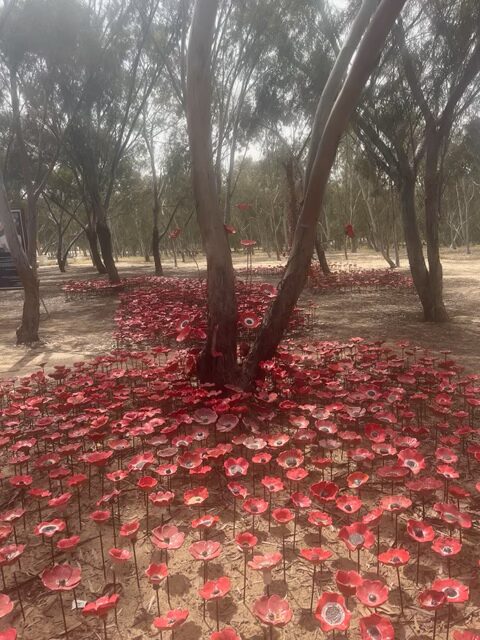 Thousands of red ceramic poppies arranged under and around trees in a sunlit, wooded outdoor area.
