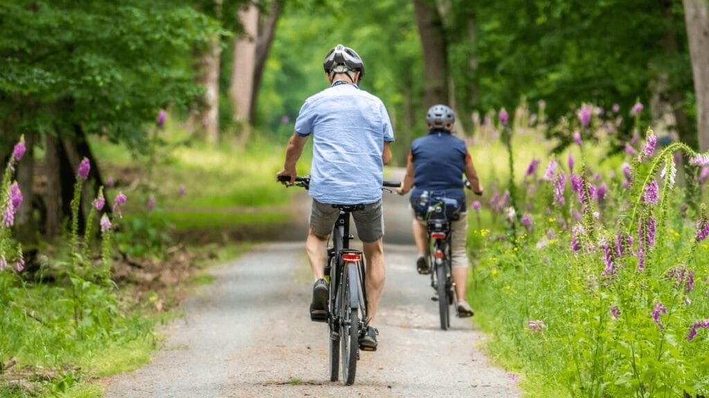 Two people ride bicycles on a forest path lined with green trees and purple wildflowers.