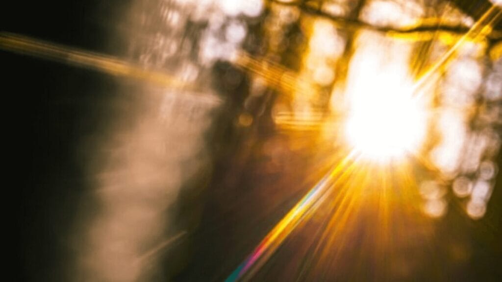 Bright sunlight with golden rays shining through blurred trees, creating a warm, glowing effect.
