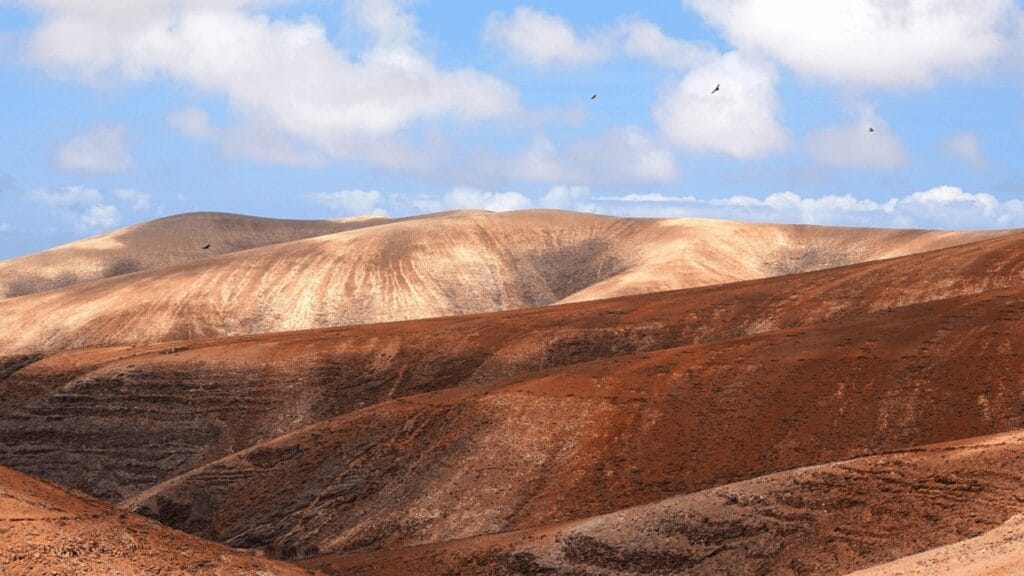 Rolling reddish-brown desert hills under a bright sky with scattered clouds and birds flying above.