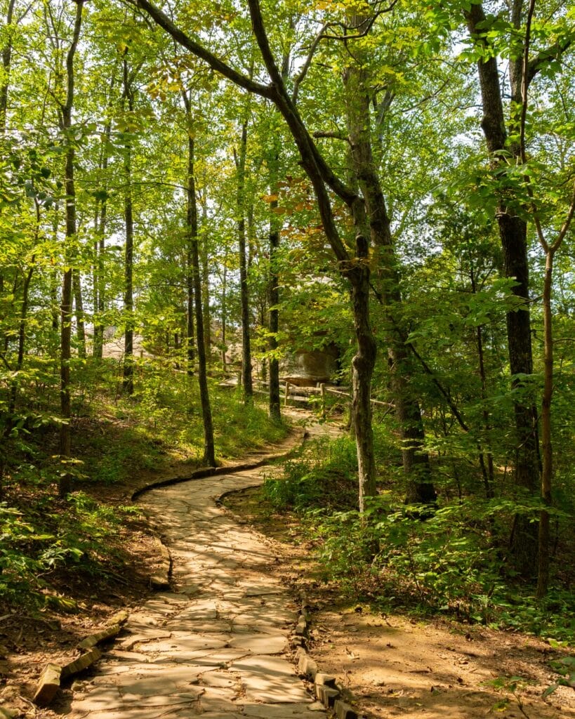 Stone path winding through a sunlit, green forest with trees and dappled sunlight on the ground.