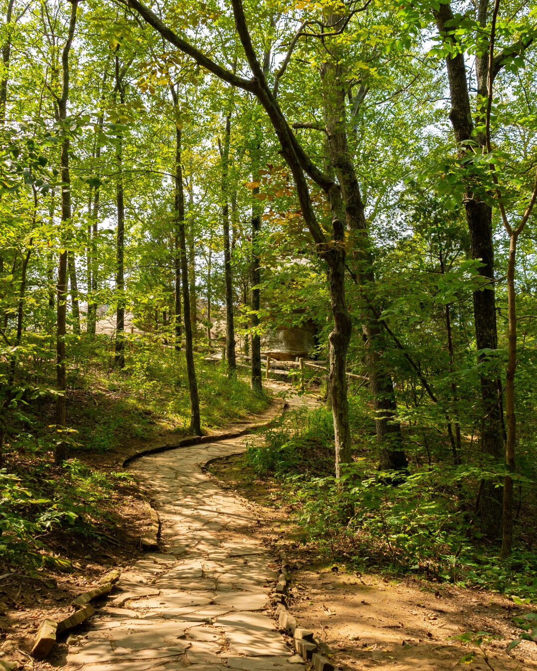 Stone path winding through a sunlit, green forest with trees and dappled sunlight on the ground.