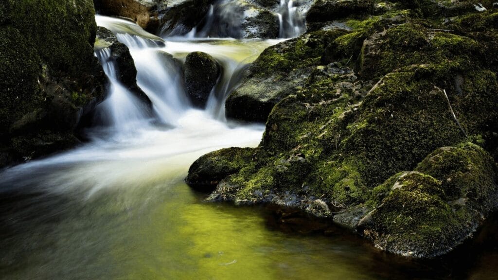 A small waterfall flows over moss-covered rocks into a clear, reflective pool in a forest setting.