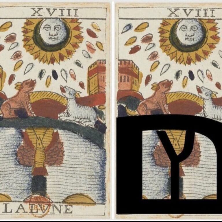 A tarot card with a sun, dog, and wolf. Black letters Y and D partially cover the right side.